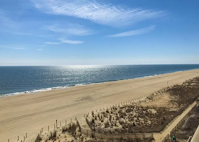 Surfside 84 #31
